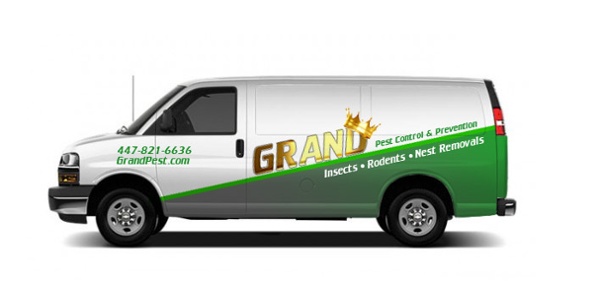 Pest Control Company Truck Lettering